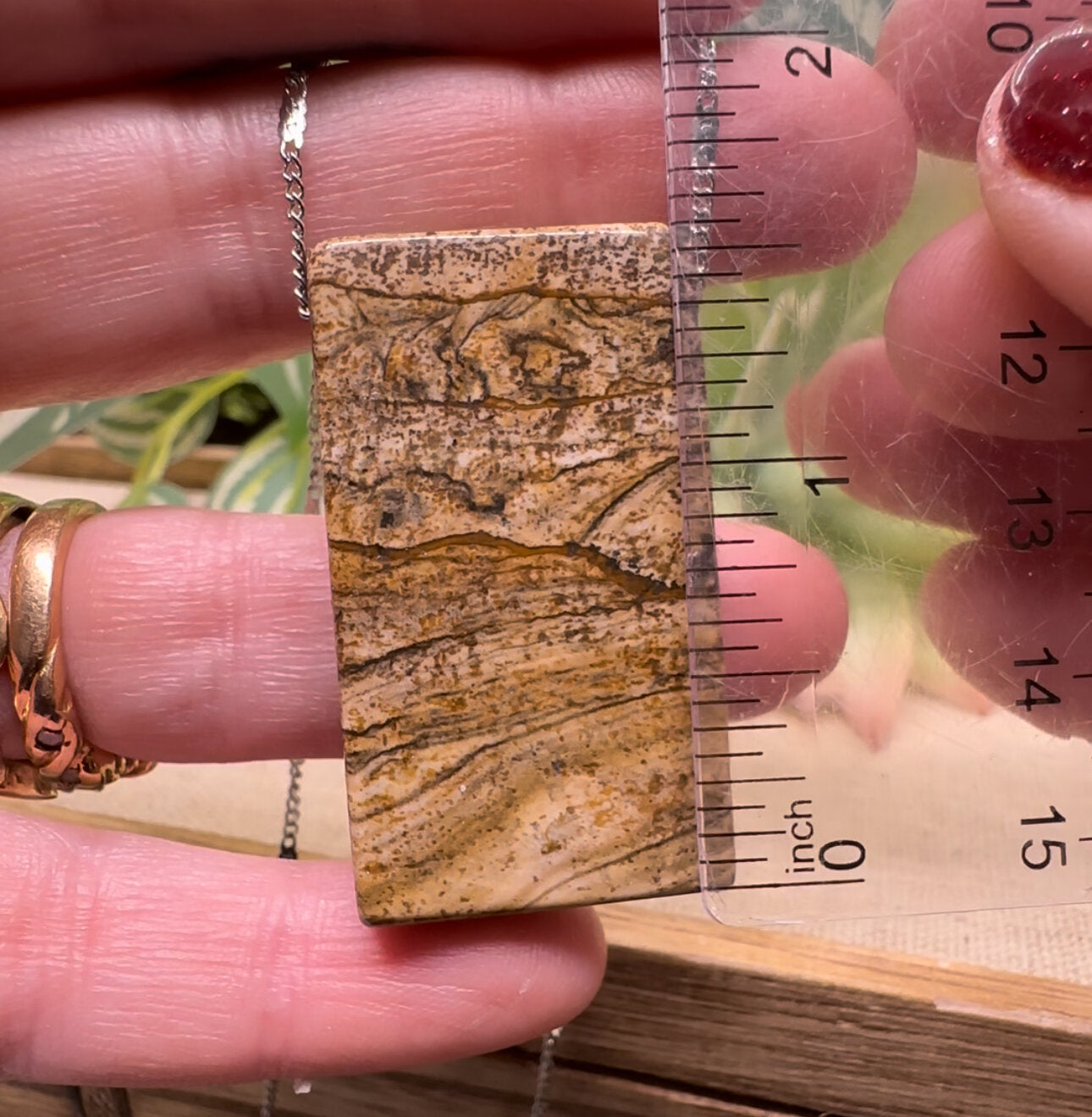 Picture Jasper