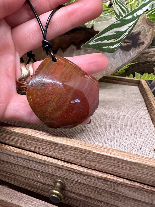 Petrified wood