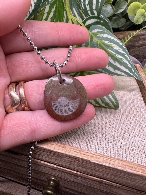 Ammonite