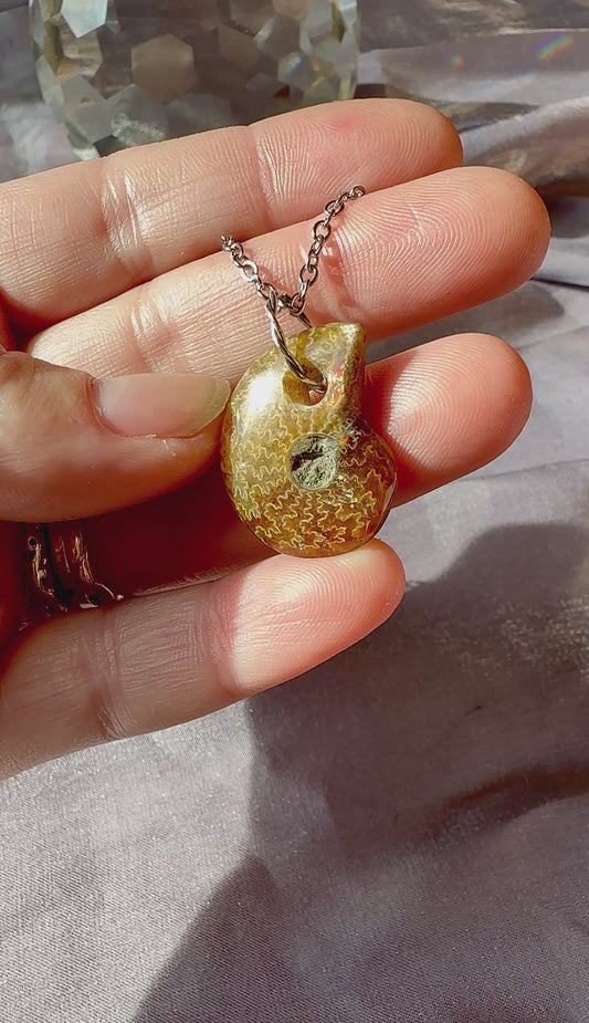 Ammonite pendant