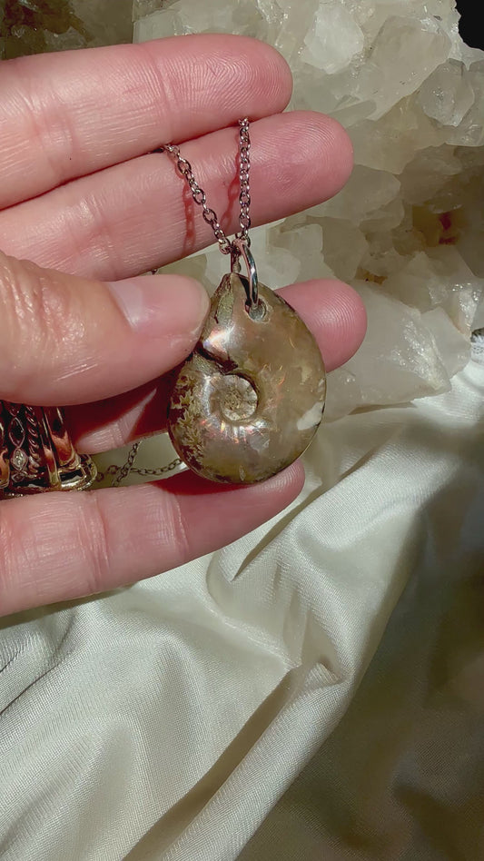 Fossilized Ammonite pendant