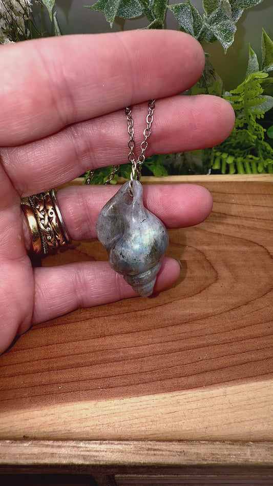 Labradorite Shell